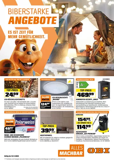 OBI Katalog in Ungenach | BIBERSTARKE ANGEBOTE | 31.10.2024 - 15.11.2024