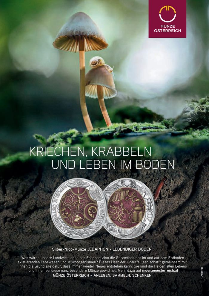 Salzburger Lagerhaus Katalog in Kuchl | Salzburger Lagerhaus Katalog | 30.4.2024 - 14.5.2024