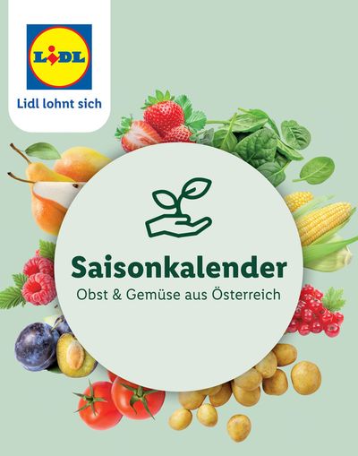 Lidl Katalog in Straß in Steiermark | Sonderflyer Saisonkalender | 1.9.2024 - 1.9.2026