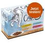 Mixpack Catessy Häppchen in Gelee für 4,49€ in Zooplus