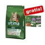 10 kg Ultima Trockenfutter + 8 x 85 g passendes Nassfutter gratis! für 54,99€ in Zooplus