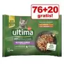 76 + 20 gratis! 96 x 85 g Ultima für 51,39€ in Zooplus