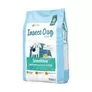 Green Petfood InsectDog Sensitive für 6,19€ in Zooplus