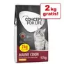 10 kg + 2 kg gratis! 12 kg Concept for Life für Katzen im Bonusbag für 52,49€ in Zooplus