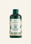 Shea Intense Repair Shampoo  für 5€ in The Body Shop