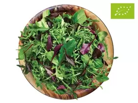 Bio Salate für 1€ in Lidl