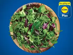 Bio Salate für 0,89€ in Lidl
